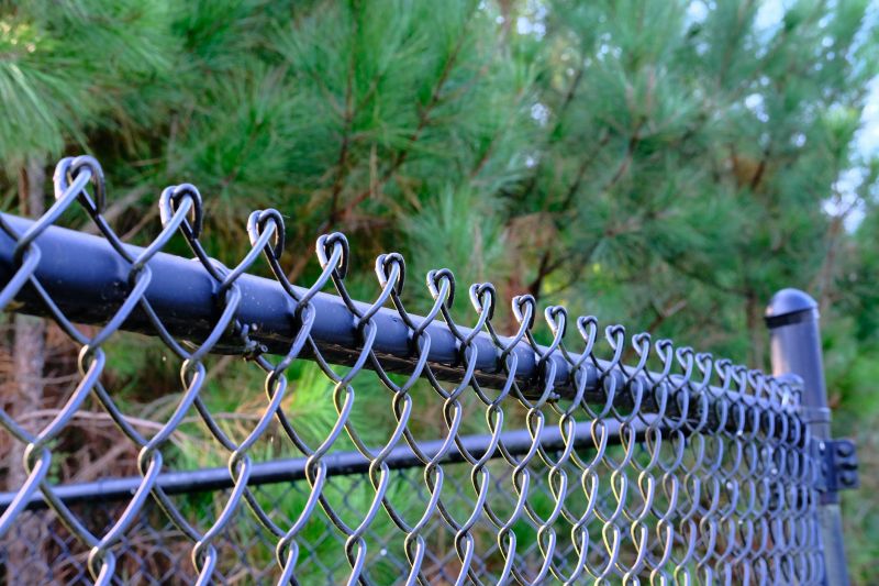 Chain Link Fence Mesh