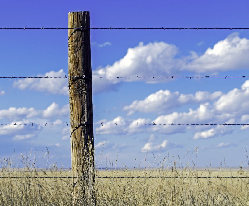 Farm Fence with Posts