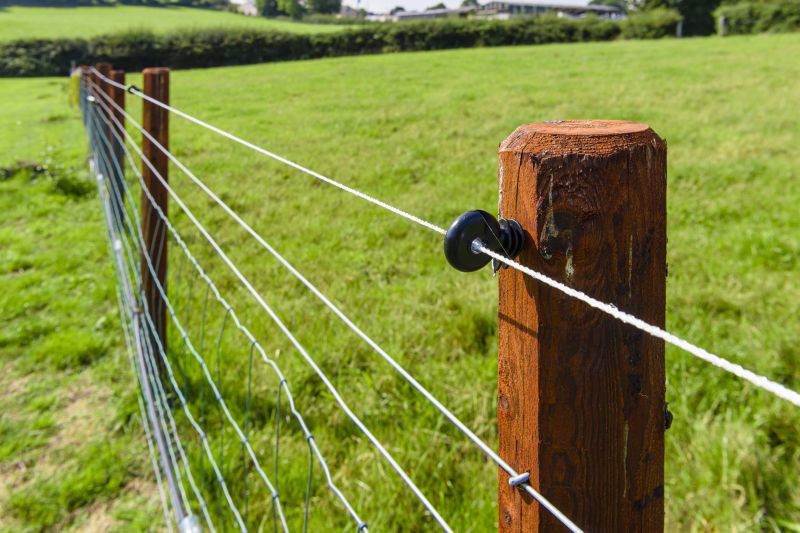 Fence Post Replacement