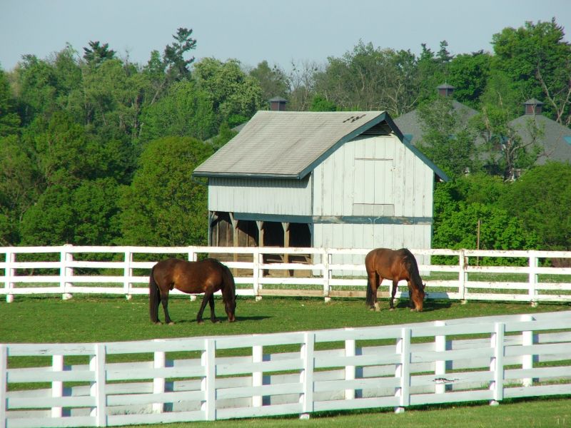 Pasture Fence Replacement